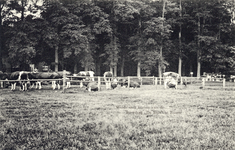 14190 Gezicht op een weiland met koeien bij de boerderij De Eult (Torenlaan 88) te Soestdijk (gemeente Baarn).